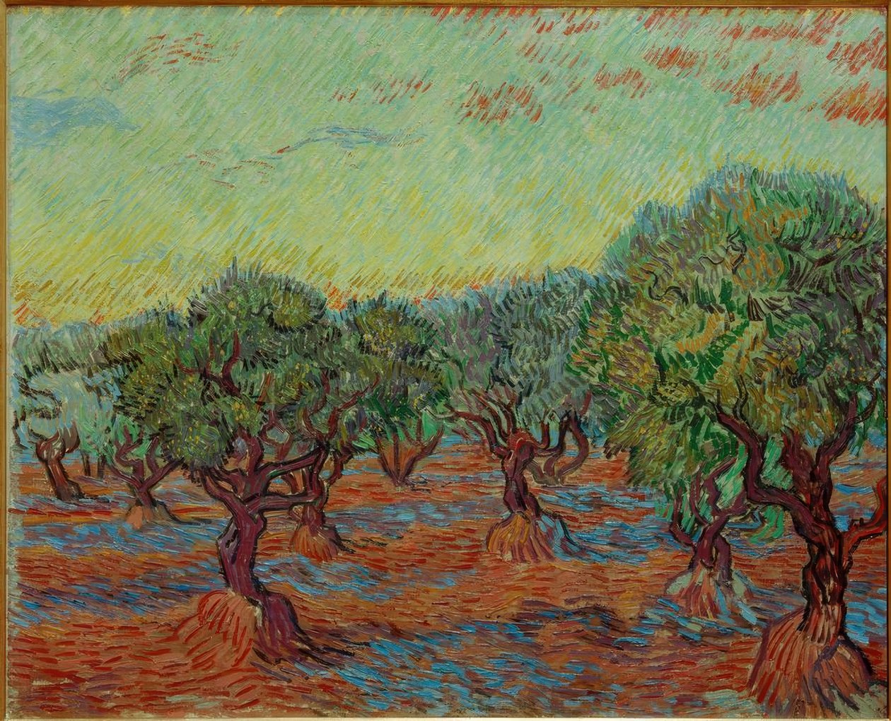 Gaj oliwny autorstwa Vincent van Gogh