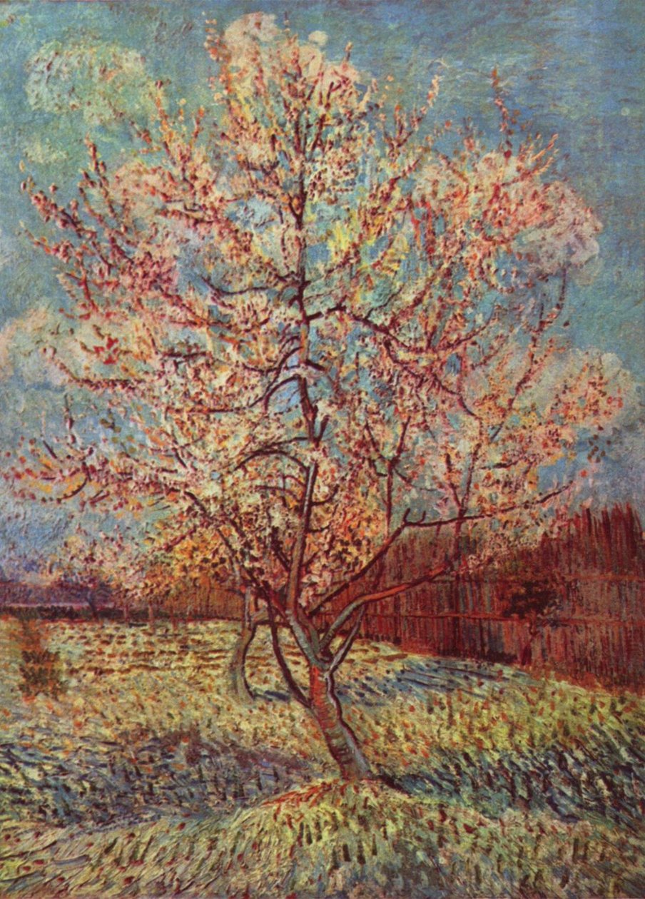 Brzoskwinia w Kwiecie autorstwa Vincent van Gogh