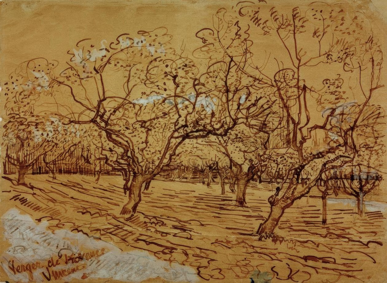 sad prowansalski autorstwa Vincent van Gogh