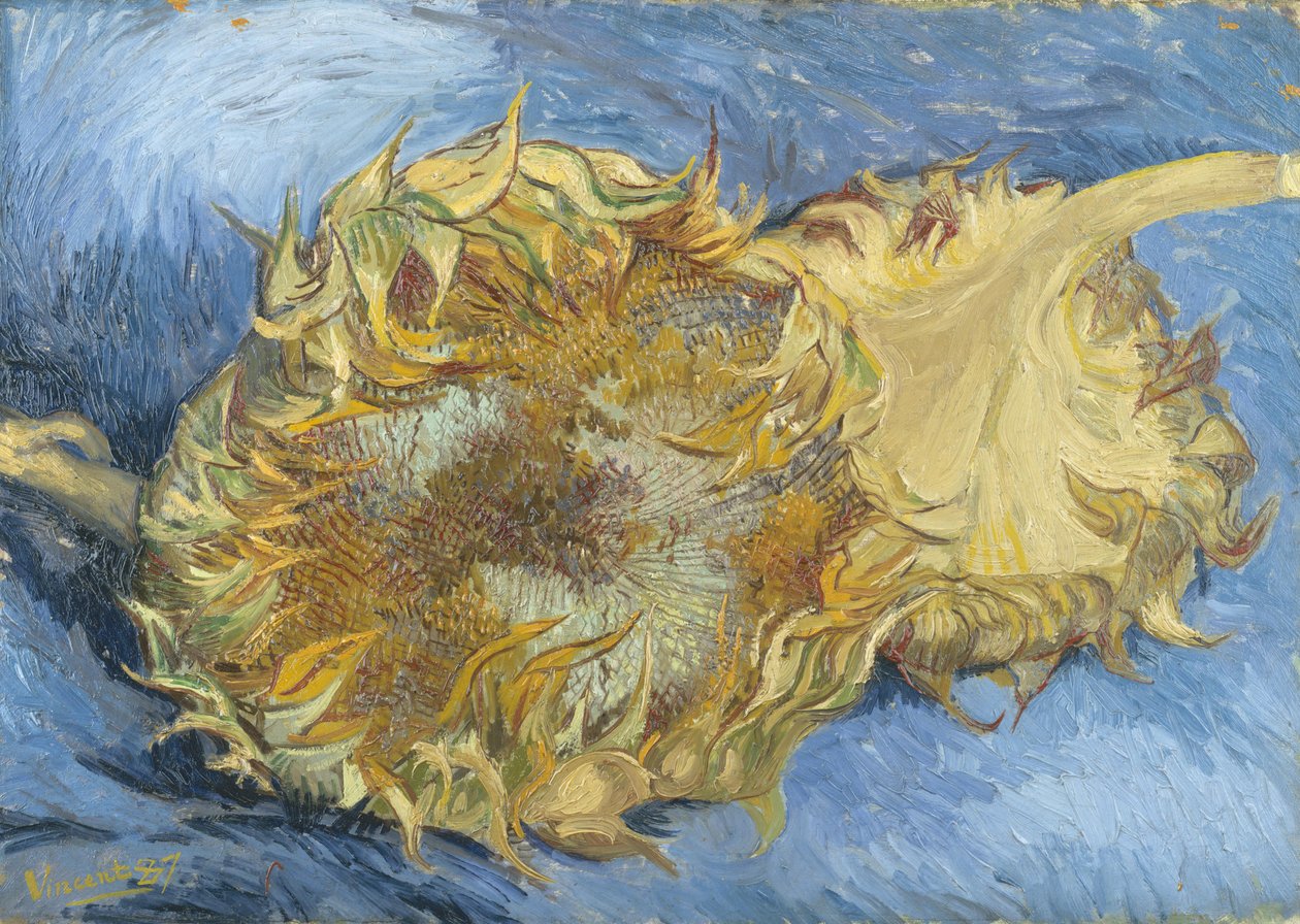 Słoneczniki autorstwa Vincent van Gogh
