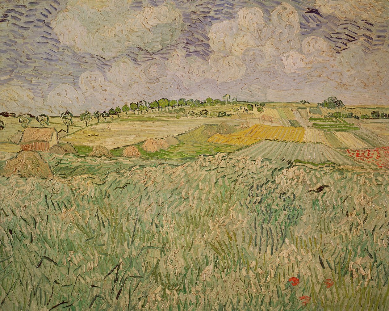 Równina w Auvers, 1890 autorstwa Vincent van Gogh