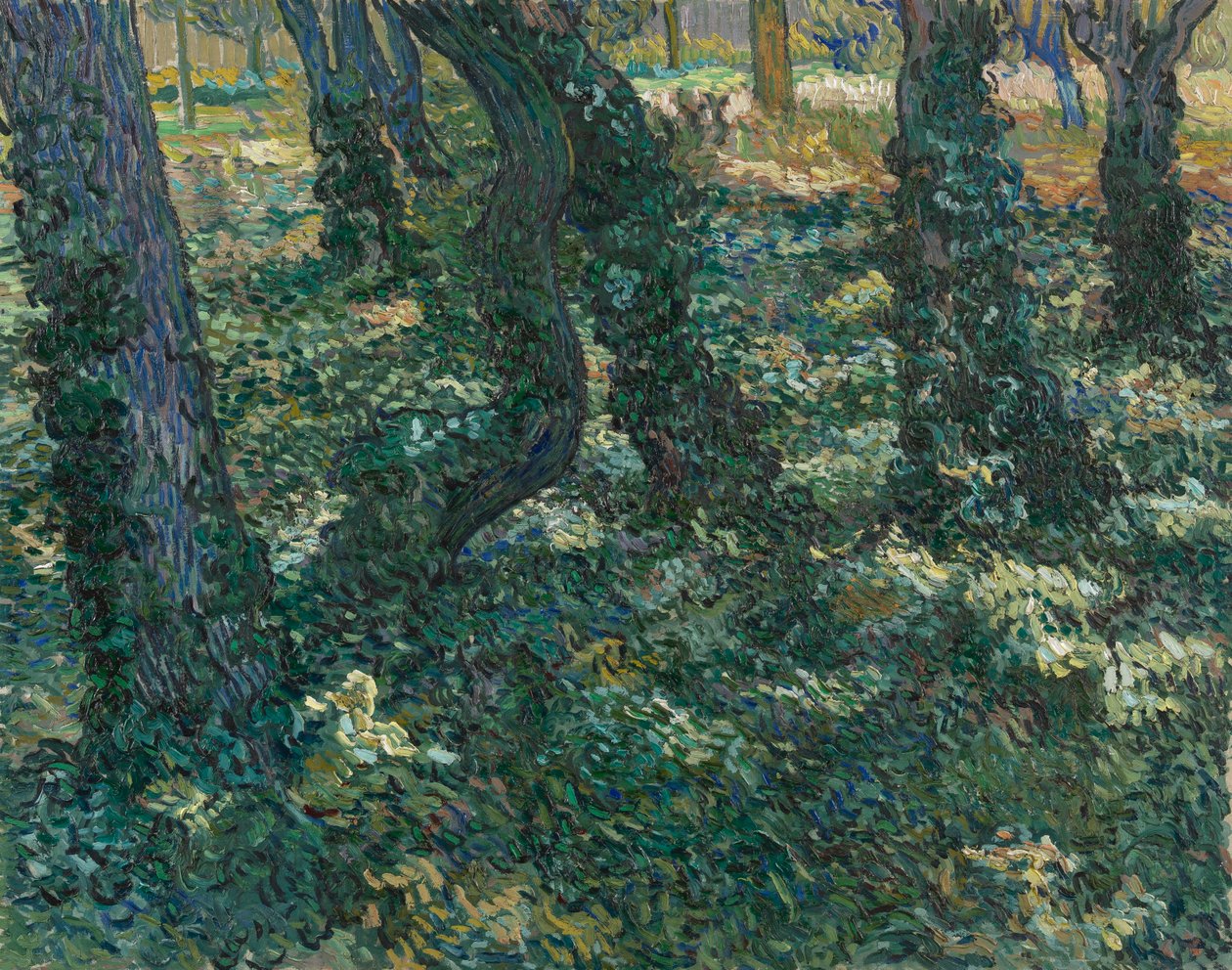 Runo autorstwa Vincent van Gogh