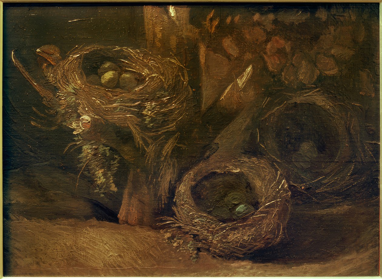 Gniazda ptaków autorstwa Vincent van Gogh