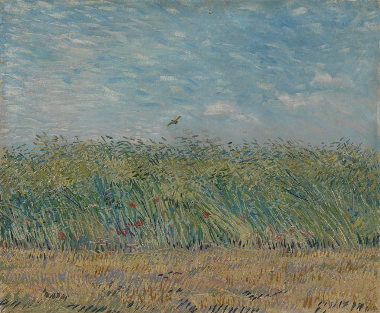 Pole pszenicy z kuropatwą, 1887 autorstwa Vincent van Gogh