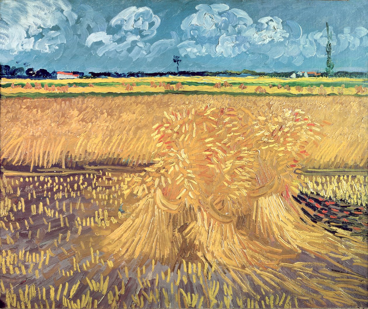 Pole pszenicy ze snopami, 1888 autorstwa Vincent van Gogh