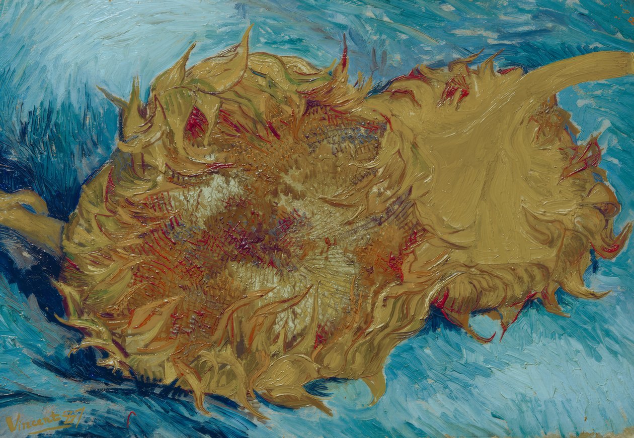 Dwa cięte słoneczniki autorstwa Vincent van Gogh