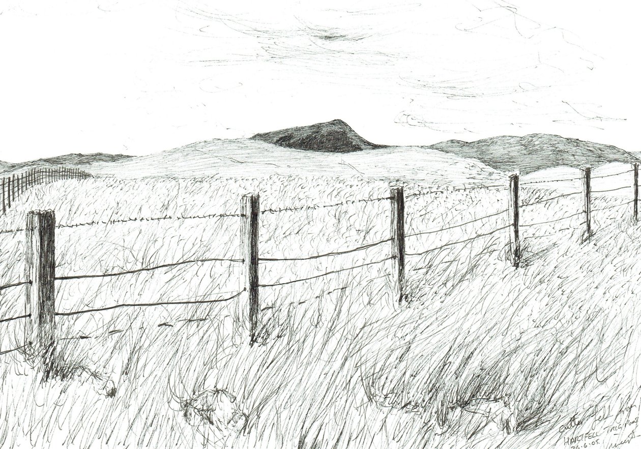 Culter wypadł z Hartfell, 2005 autorstwa Vincent Alexander Booth