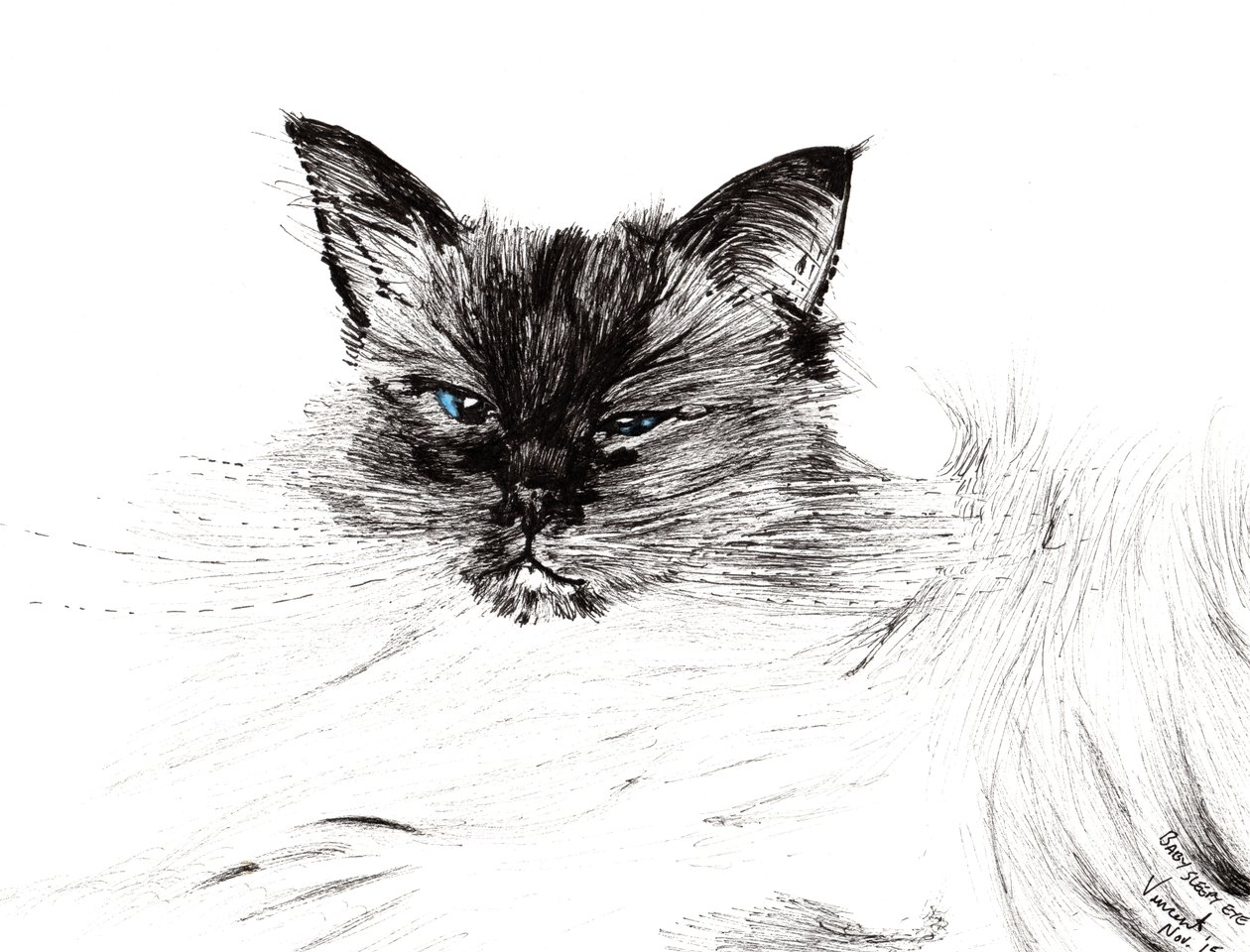 Zaspane oko, 2015, (tusz na papierze) autorstwa Vincent Alexander Booth