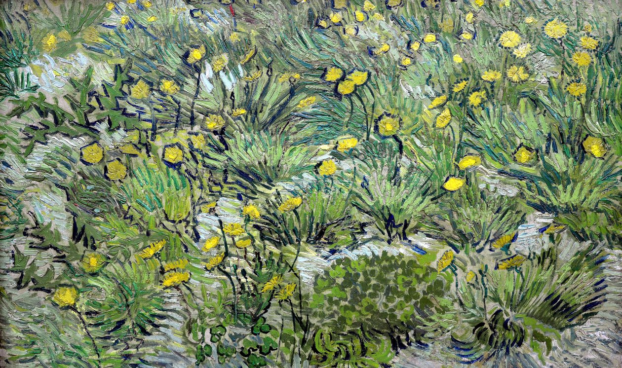 Mlecze Mlecze, 1889. autorstwa Vincent van Gogh