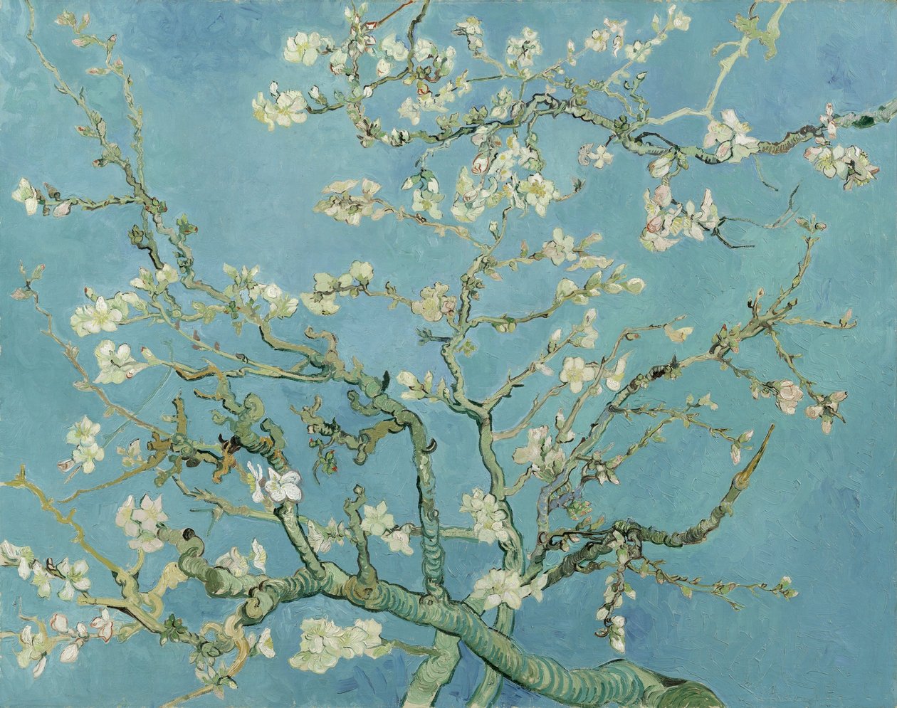 Kwiat migdałowca autorstwa Vincent van Gogh