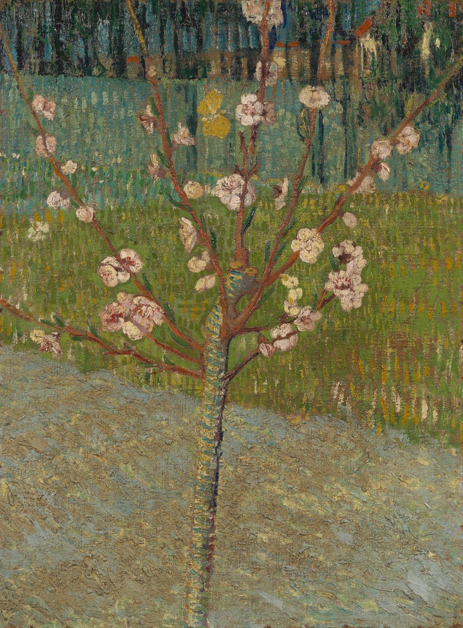 Kwitnące drzewo migdałowe autorstwa Vincent van Gogh
