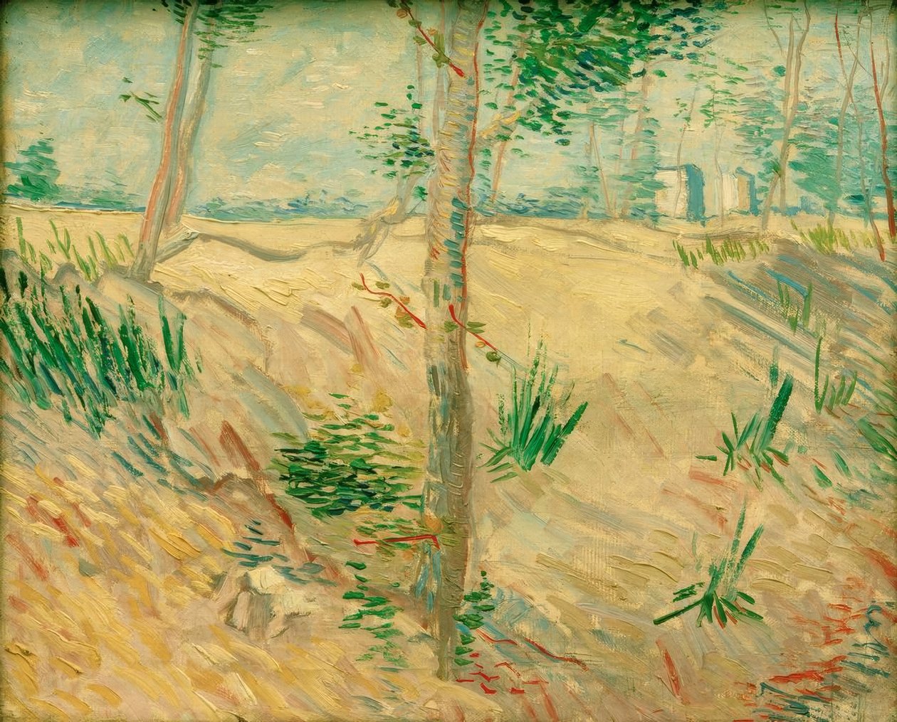 Pnie drzew w słońcu autorstwa Vincent van Gogh