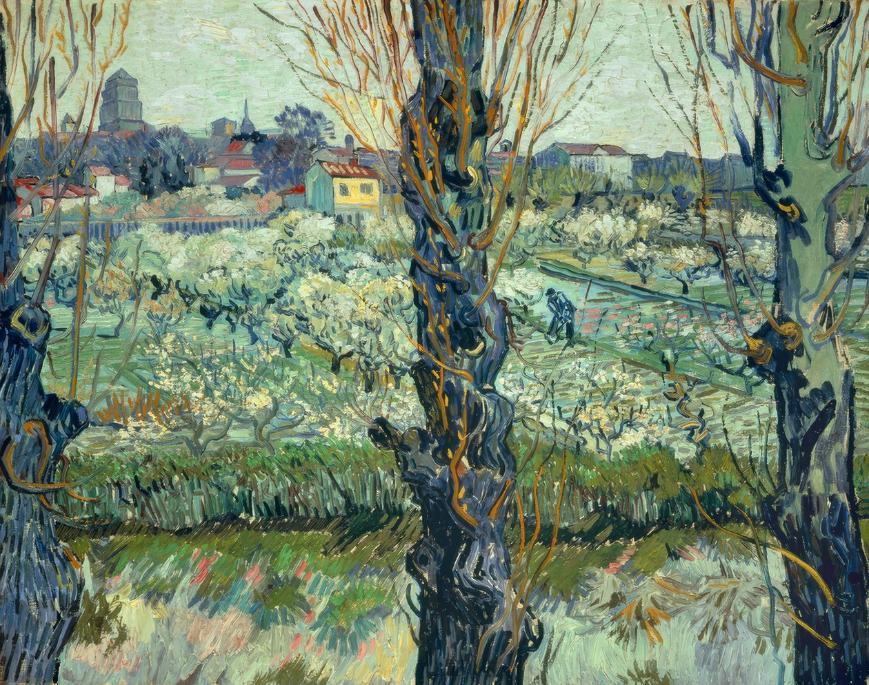 Widok na Arles autorstwa Vincent van Gogh