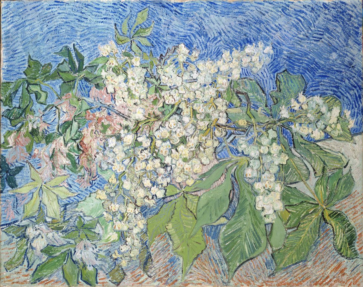 Kwitnące gałęzie kasztanowców, 1890 r. autorstwa Vincent van Gogh