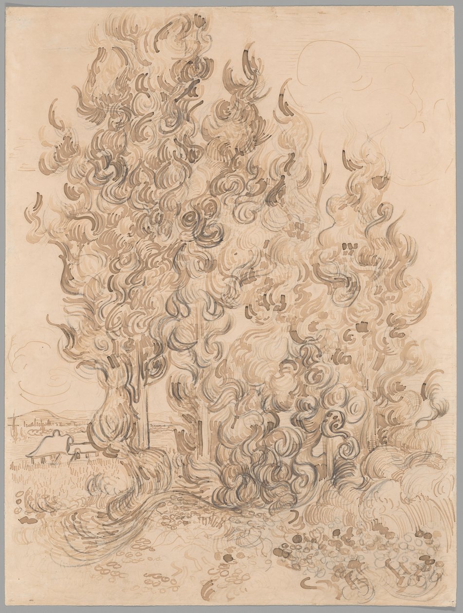 Cyprysy autorstwa Vincent van Gogh