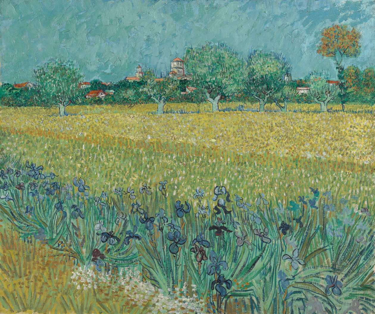 Pole z kwiatami w pobliżu Arles autorstwa Vincent van Gogh