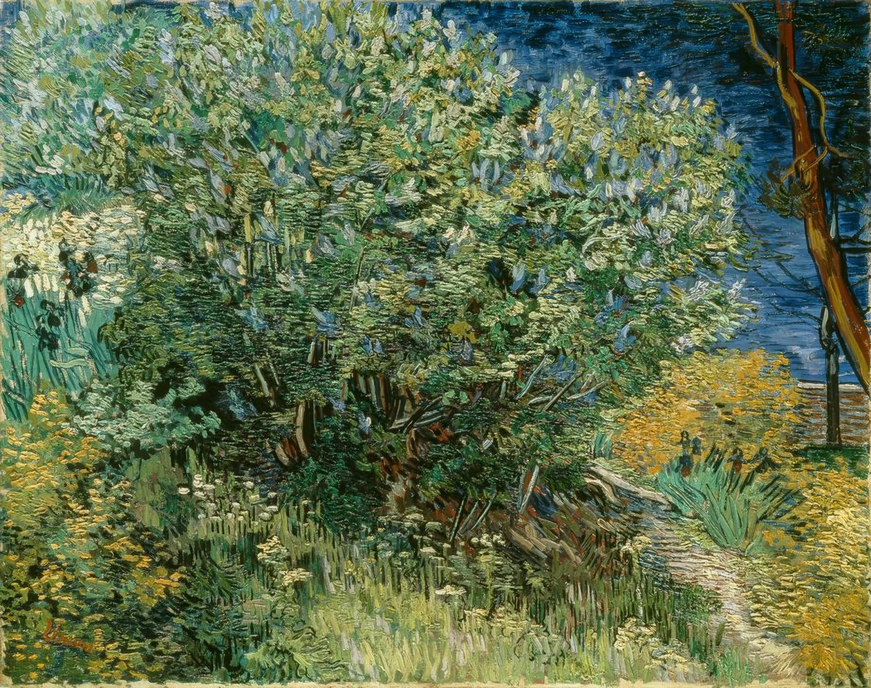 Krzew bzu autorstwa Vincent van Gogh
