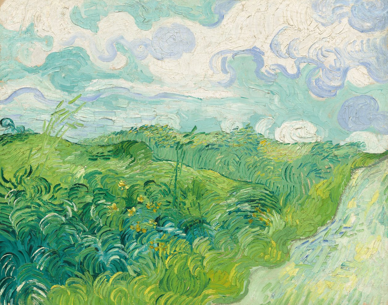 Zielone pola pszenicy, Auvers, 1890. autorstwa Vincent van Gogh