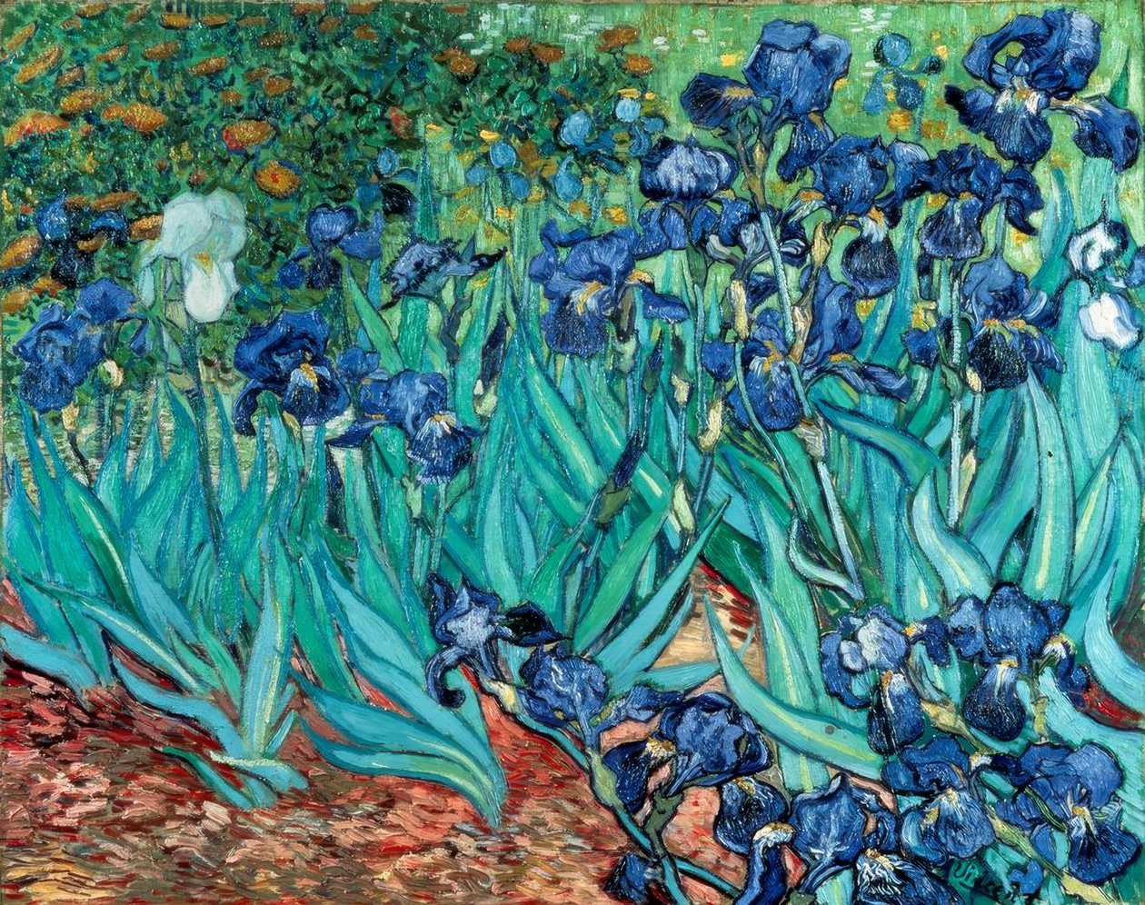 Irys (Irysy) autorstwa Vincent van Gogh