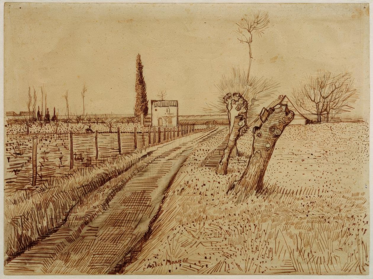 Krajobraz z ścieżką i wierzbami ściętymi autorstwa Vincent van Gogh