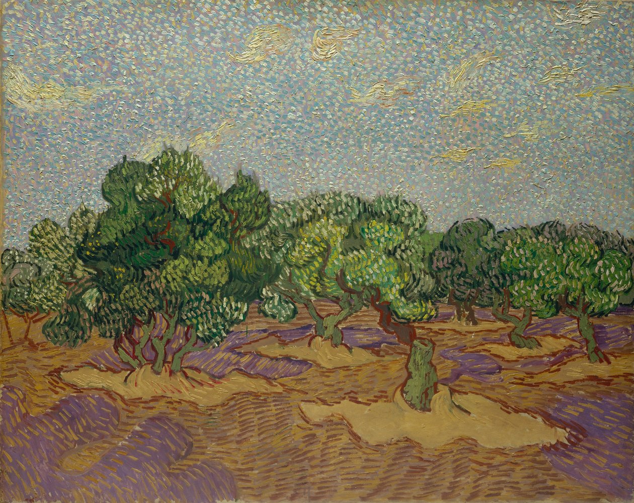 Drzewa oliwne, 1889. autorstwa Vincent van Gogh