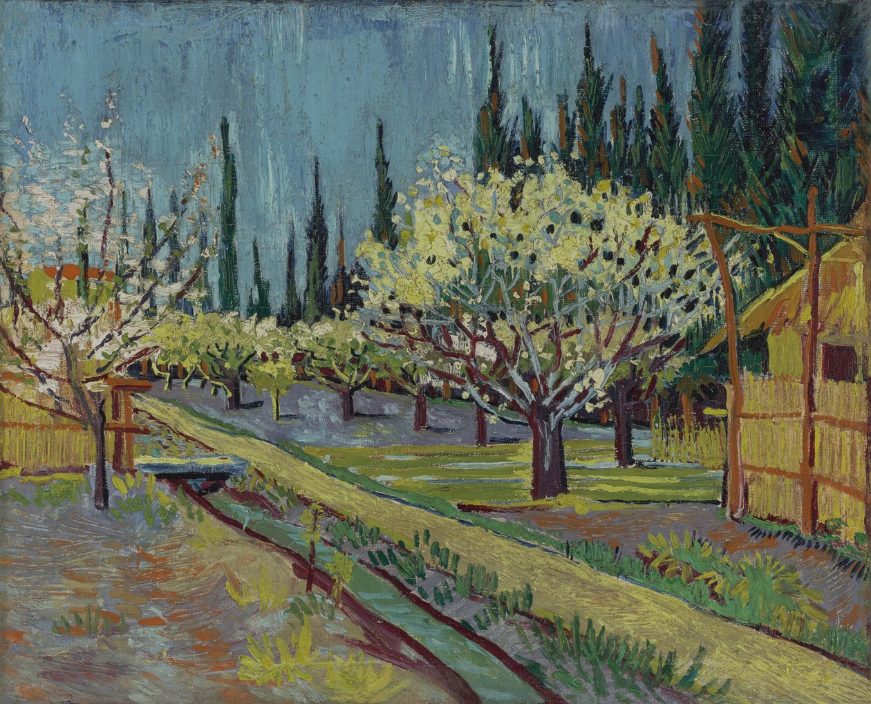 Sad otoczony cyprysami autorstwa Vincent van Gogh