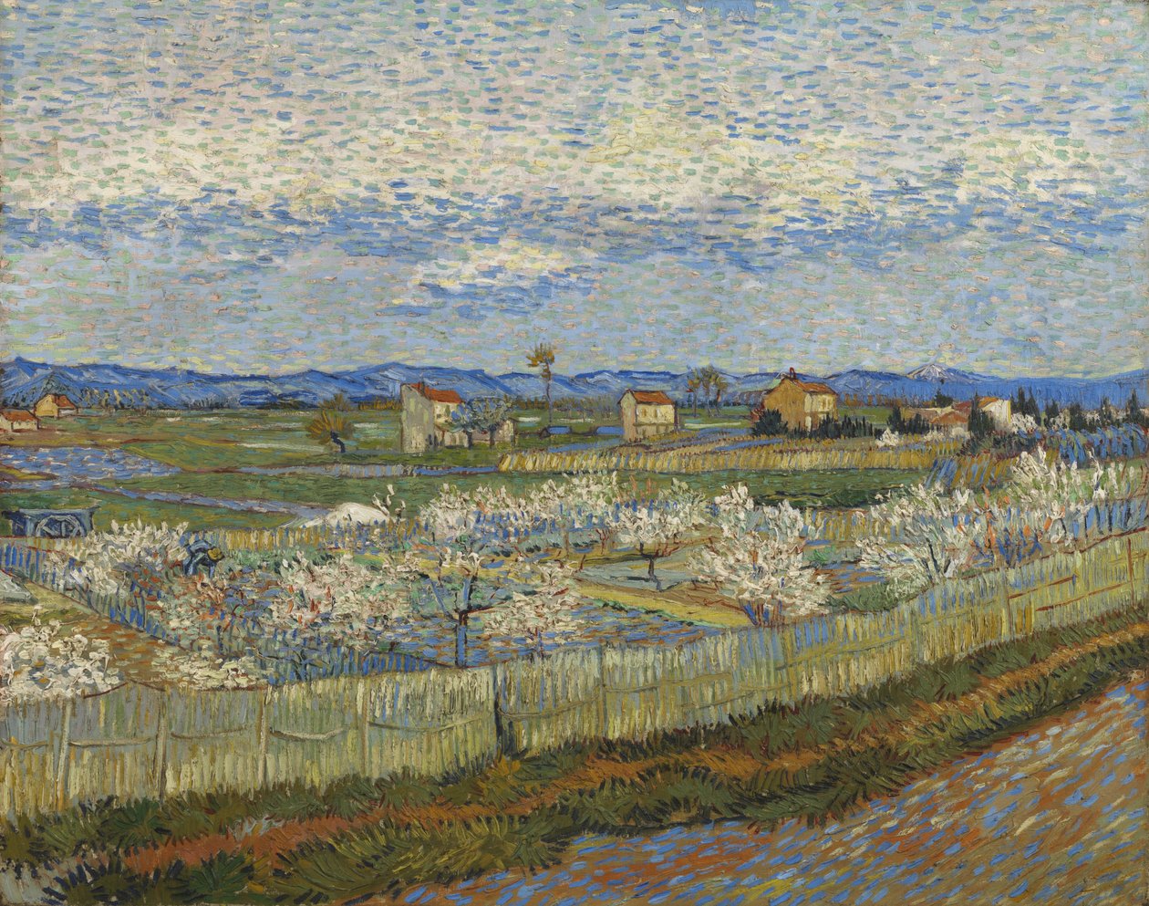 Brzoskwinie w kwiatach, 1889 autorstwa Vincent van Gogh