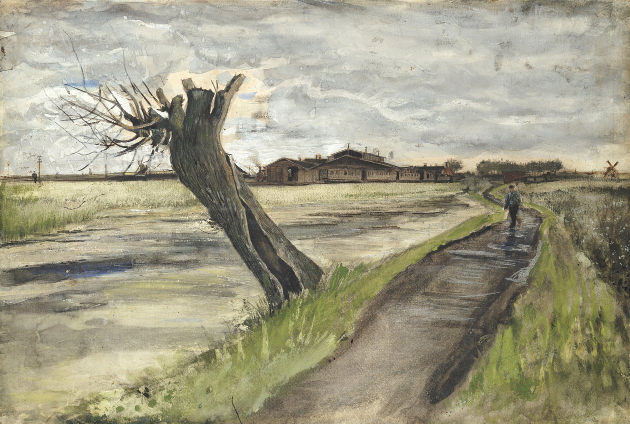 Wierzba Pollarda, 1882 r. autorstwa Vincent van Gogh