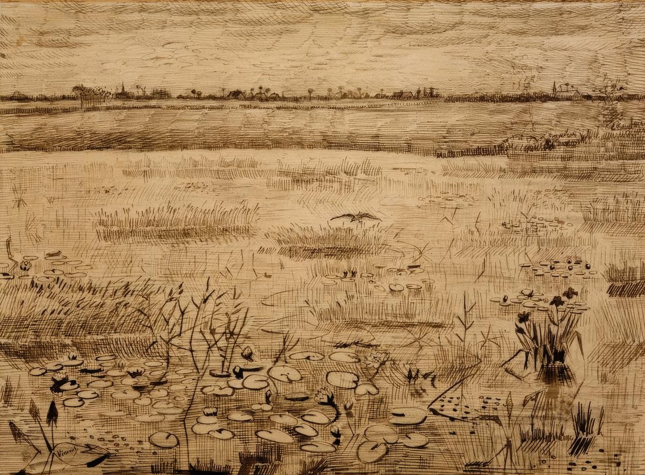 Krajobraz bagienny z liliami wodnymi autorstwa Vincent van Gogh