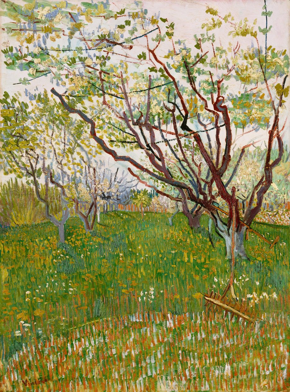 Kwitnący Sad autorstwa Vincent van Gogh