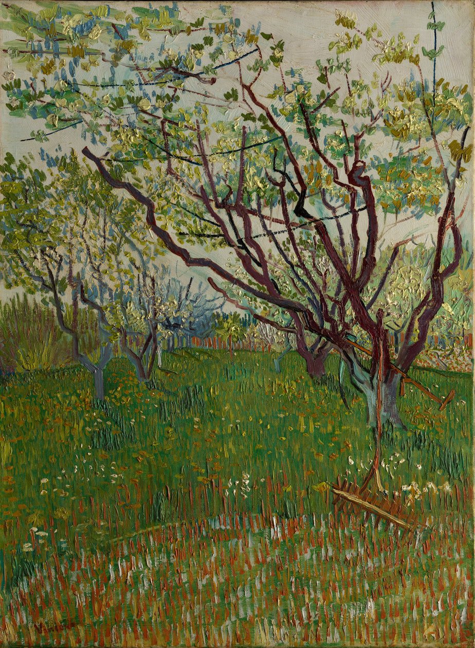 Kwitnący Sad, 1888. autorstwa Vincent van Gogh