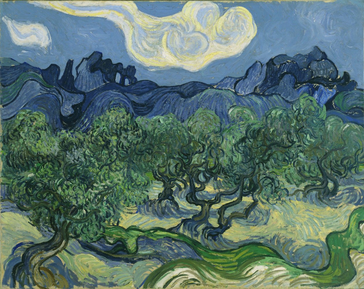Drzewa Oliwne autorstwa Vincent van Gogh