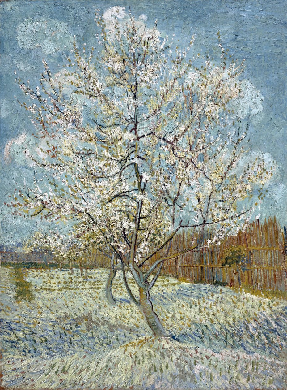 Różowa Brzoskwinia autorstwa Vincent van Gogh