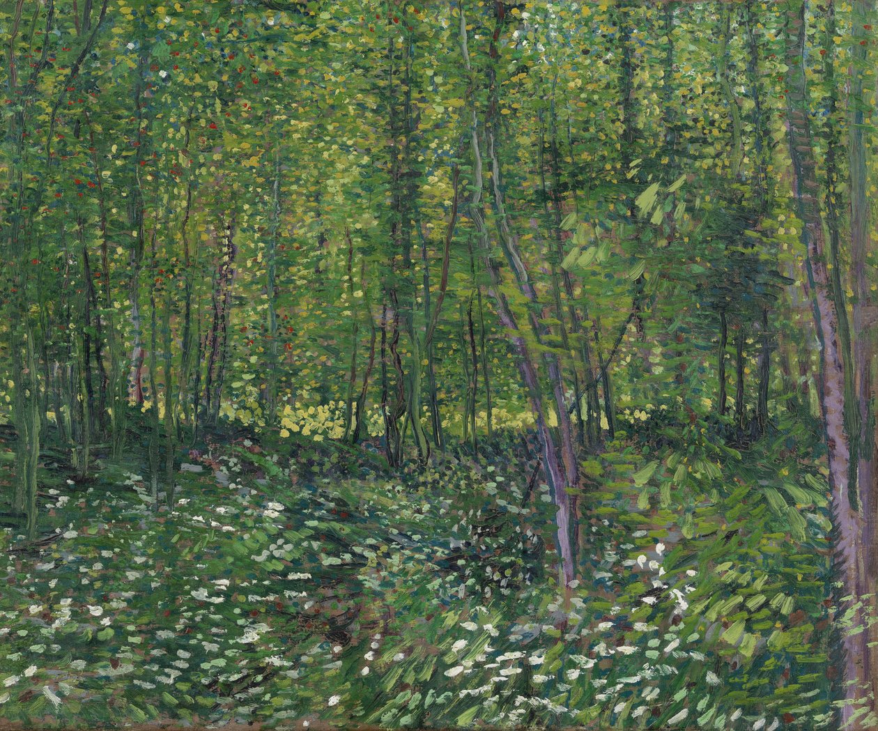 Drzewa i poszycie, 1887 autorstwa Vincent van Gogh