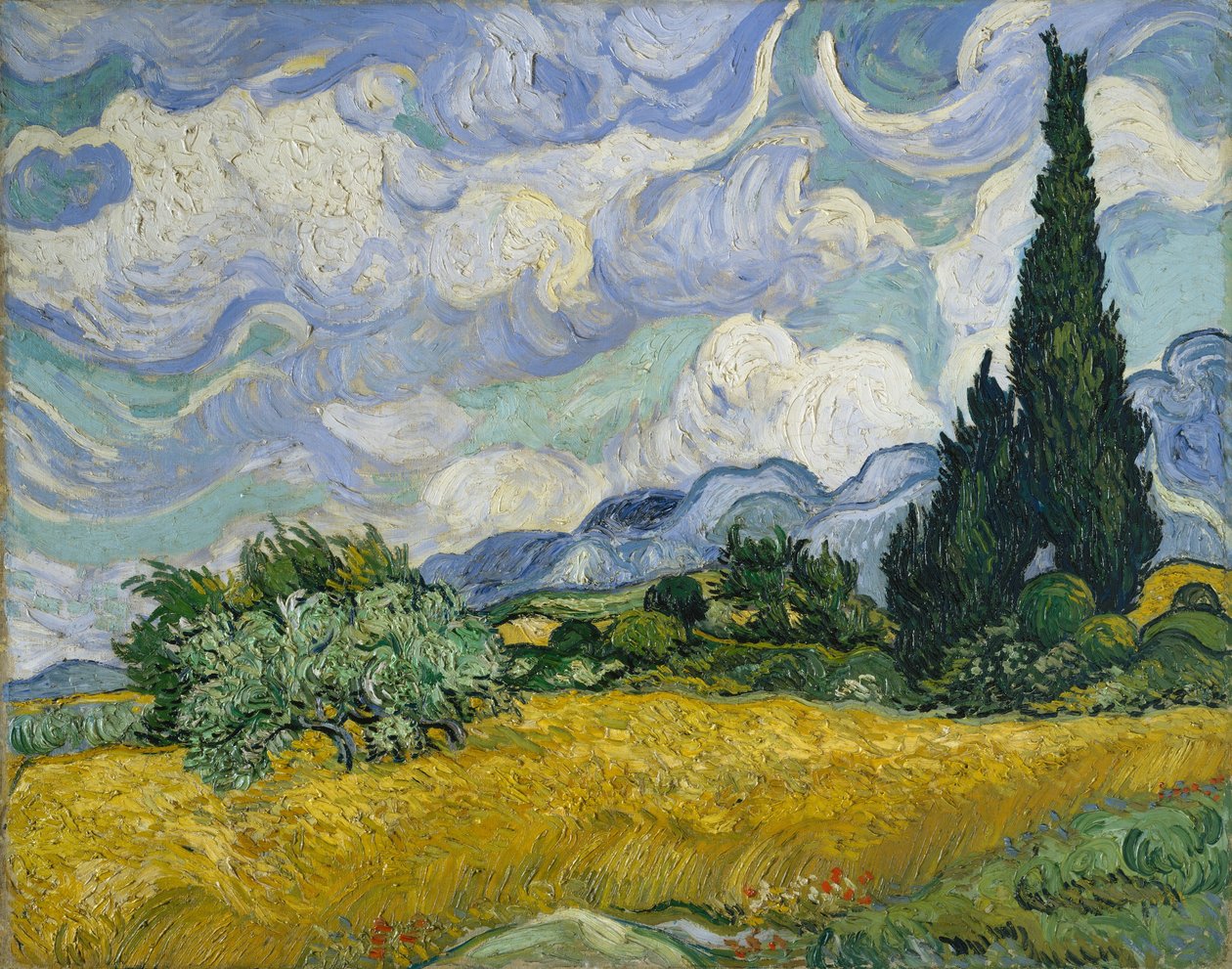 Pole pszenicy z cyprysami, 1889. autorstwa Vincent van Gogh