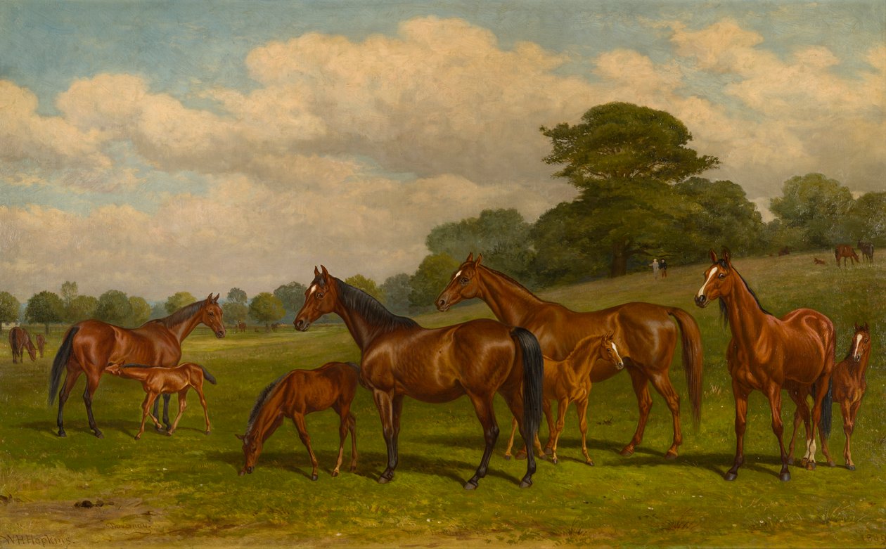 Klacze i źrebięta, ok. 1892 (olej na płótnie) autorstwa W.H. Hopkins