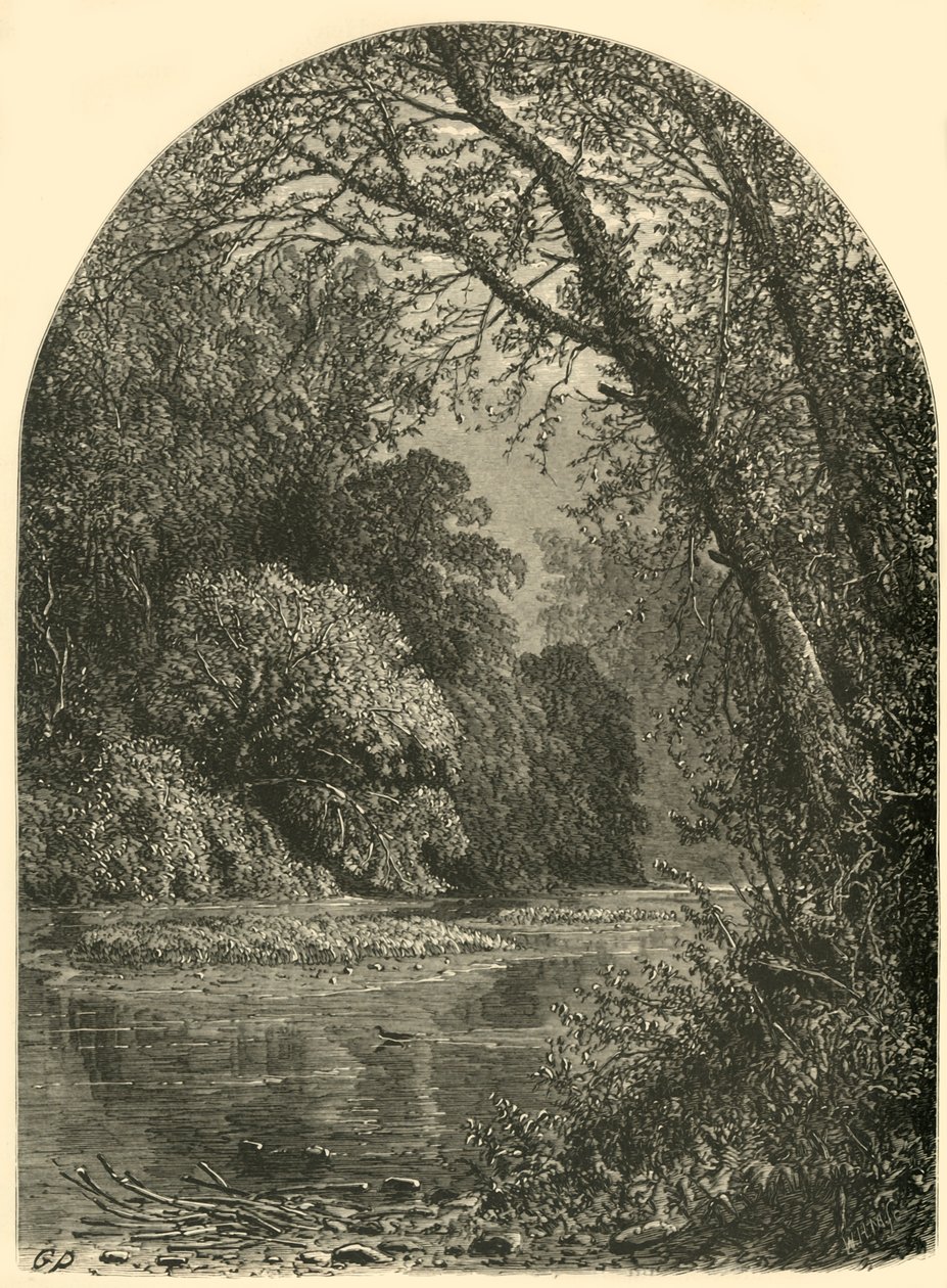 „Wyspy mchu w Juniacie”, 1874. autorstwa W.H. Morse