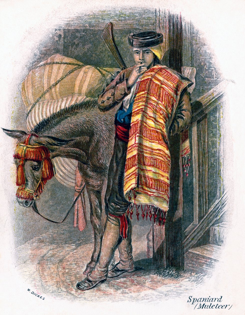 Hiszpański mułowiec, 1809 r. autorstwa W. Dickes