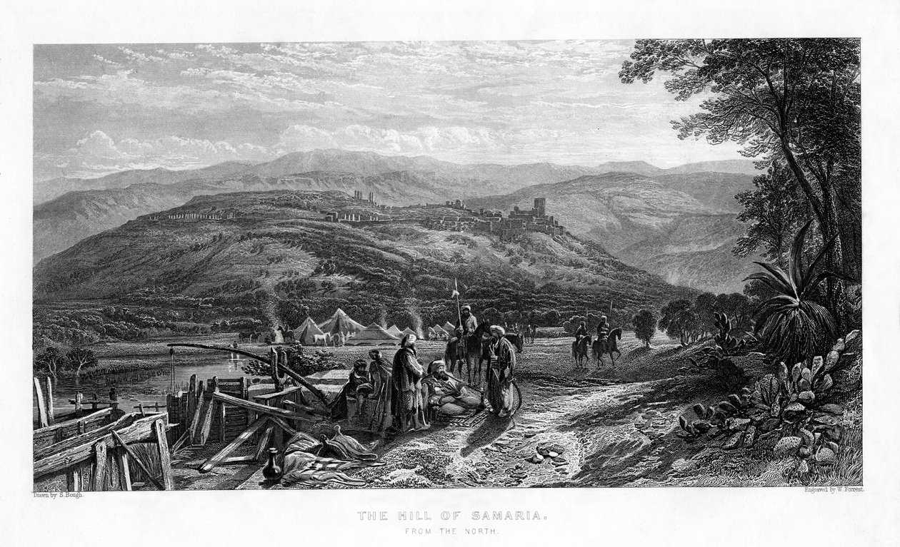 Wzgórze Samarii, 1887 autorstwa W. Forrest