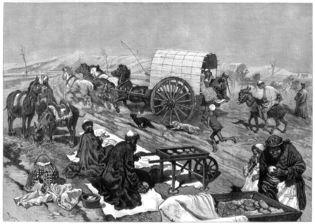 Damski omnibus, Kaszgar, Azja Środkowa, 1875 r. autorstwa W. Palmer