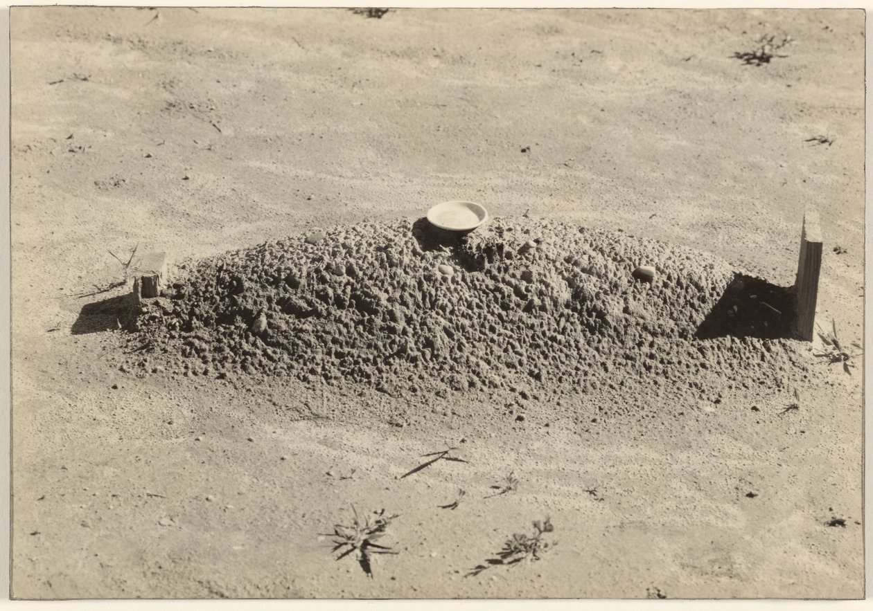 Grób baptystów, hrabstwo Hale, Alabama autorstwa Walker Evans
