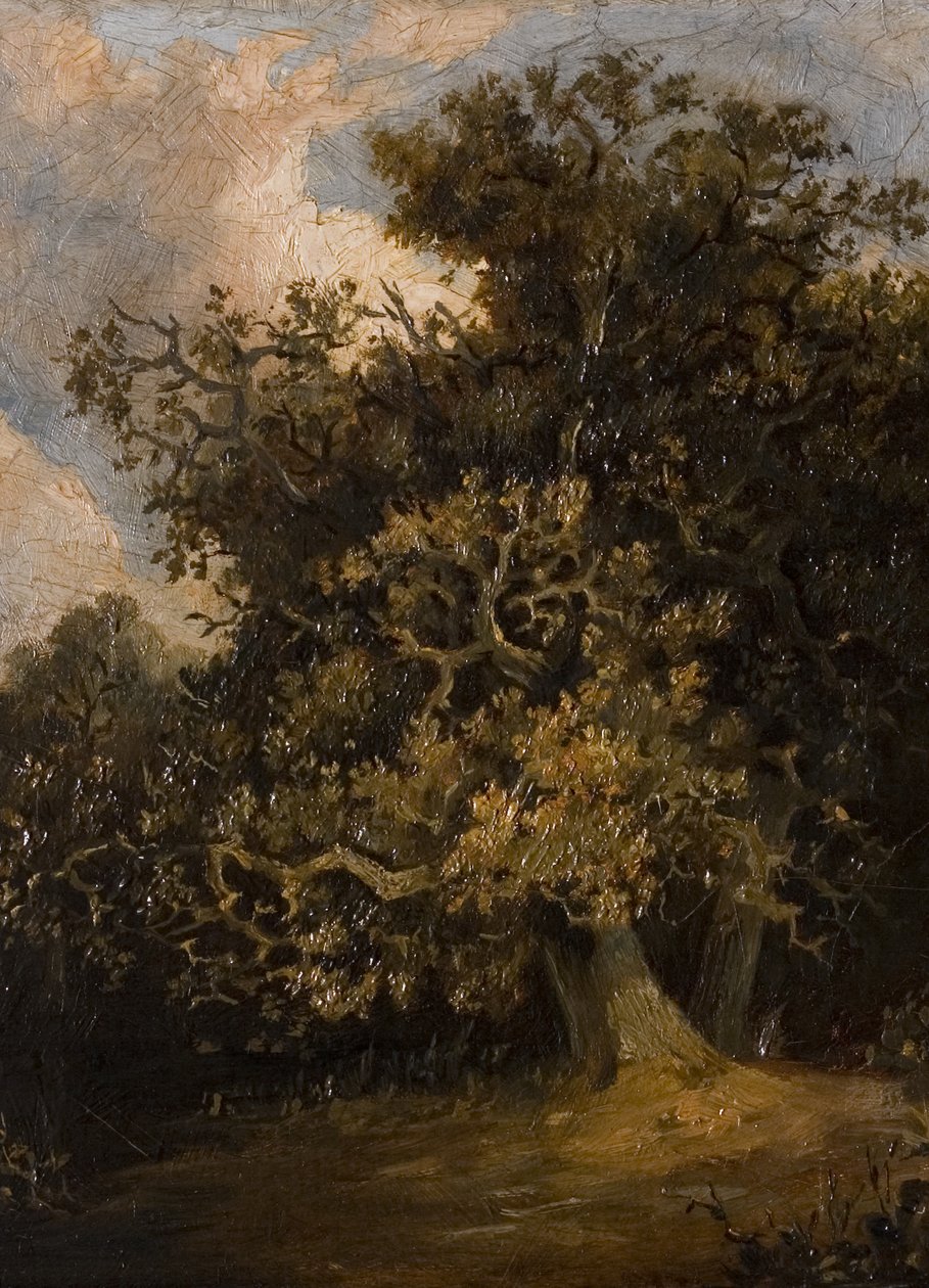 Dąb autorstwa Walter Scott