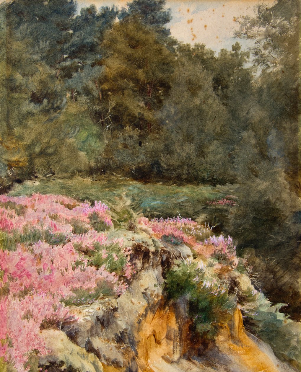 Głowa żwirowni, Royden (akwarela) autorstwa Walter Frederick Roofe Tyndale