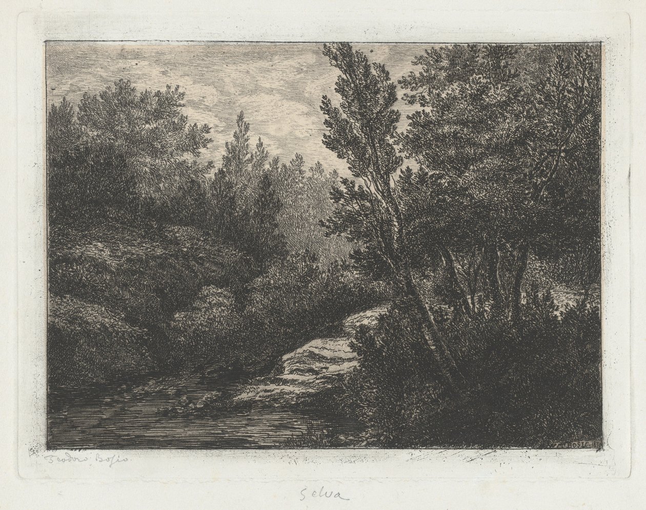 Selva (Lasy) autorstwa Walter Teodoro Bosio