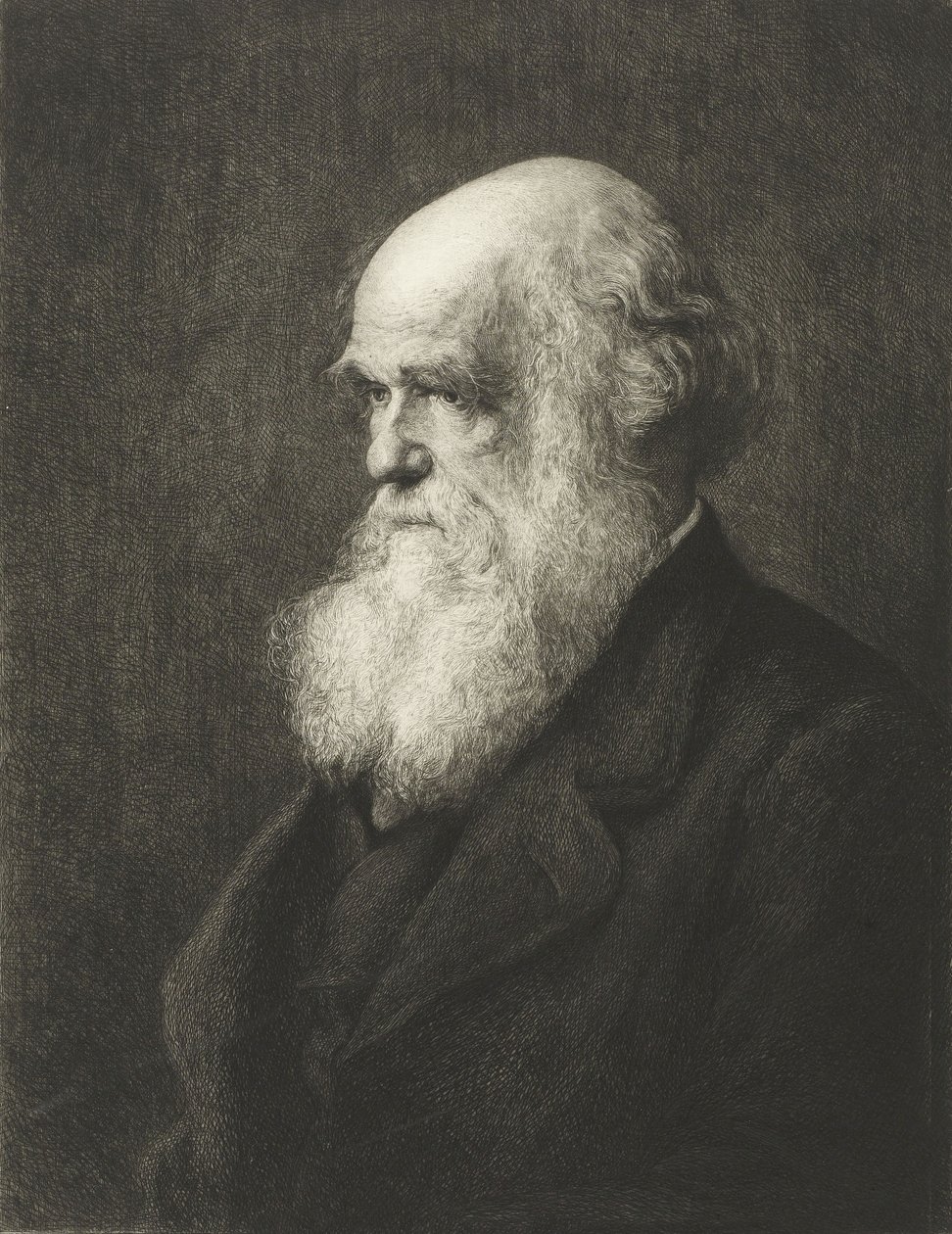 Karol Robert Darwin (grafika) autorstwa Walter William (after) Ouless