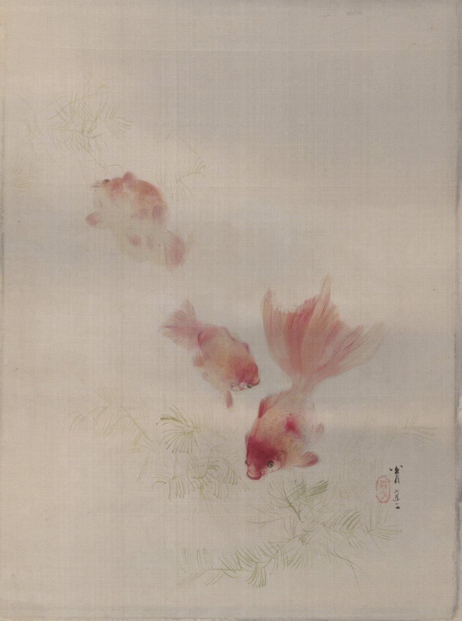 Złota rybka, ca. 1887. autorstwa Watanabe Seitei
