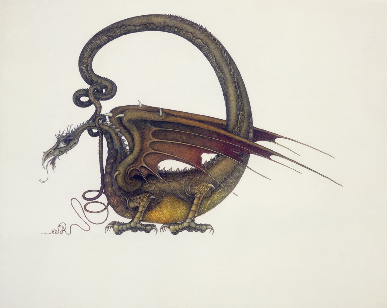 D jak Dragon autorstwa Wayne Anderson