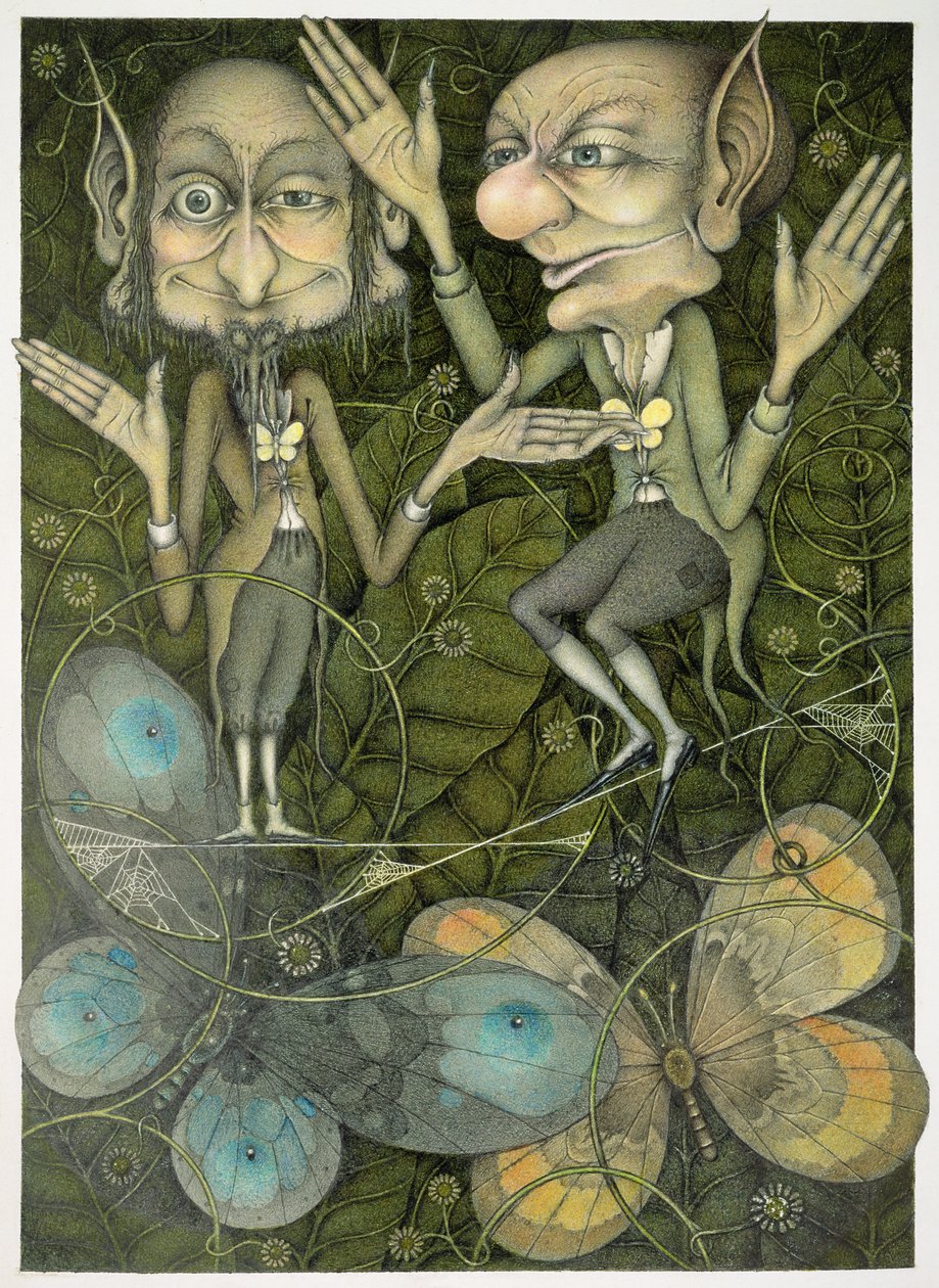 Spider Web Tightrope autorstwa Wayne Anderson