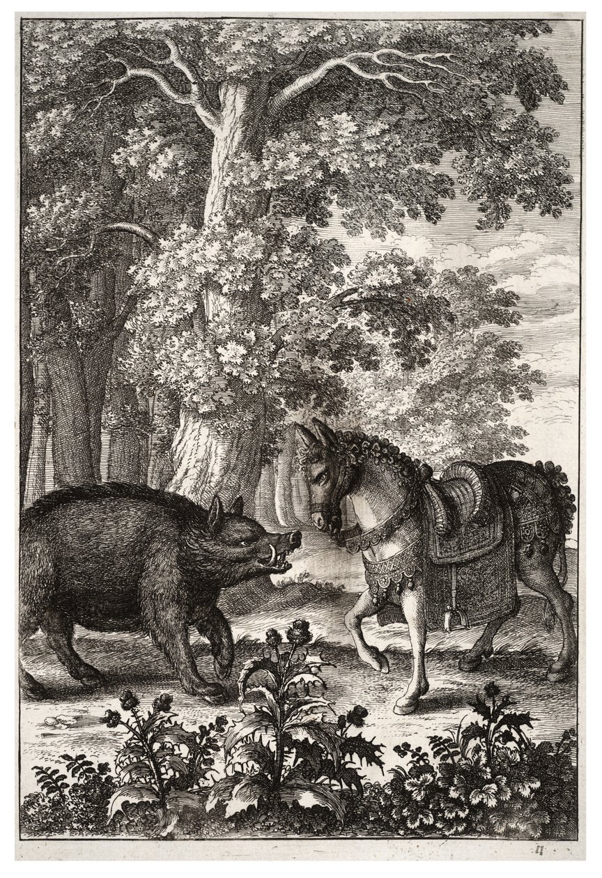 Dzik i dupa autorstwa Wenceslaus Hollar