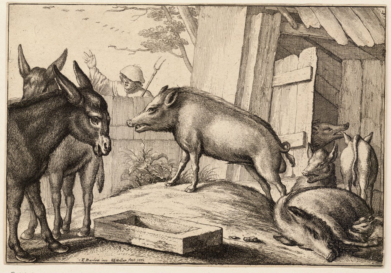 Świnie i osły autorstwa Wenceslaus Hollar